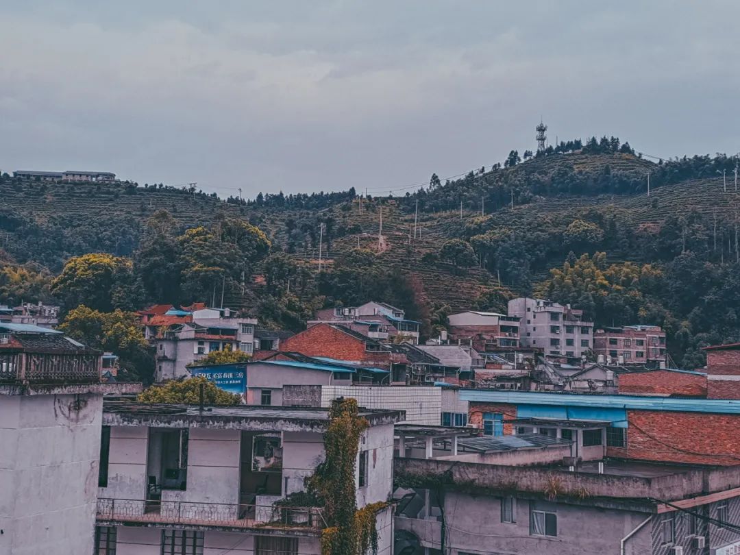 福建冷门特色美食,福建小众美食
