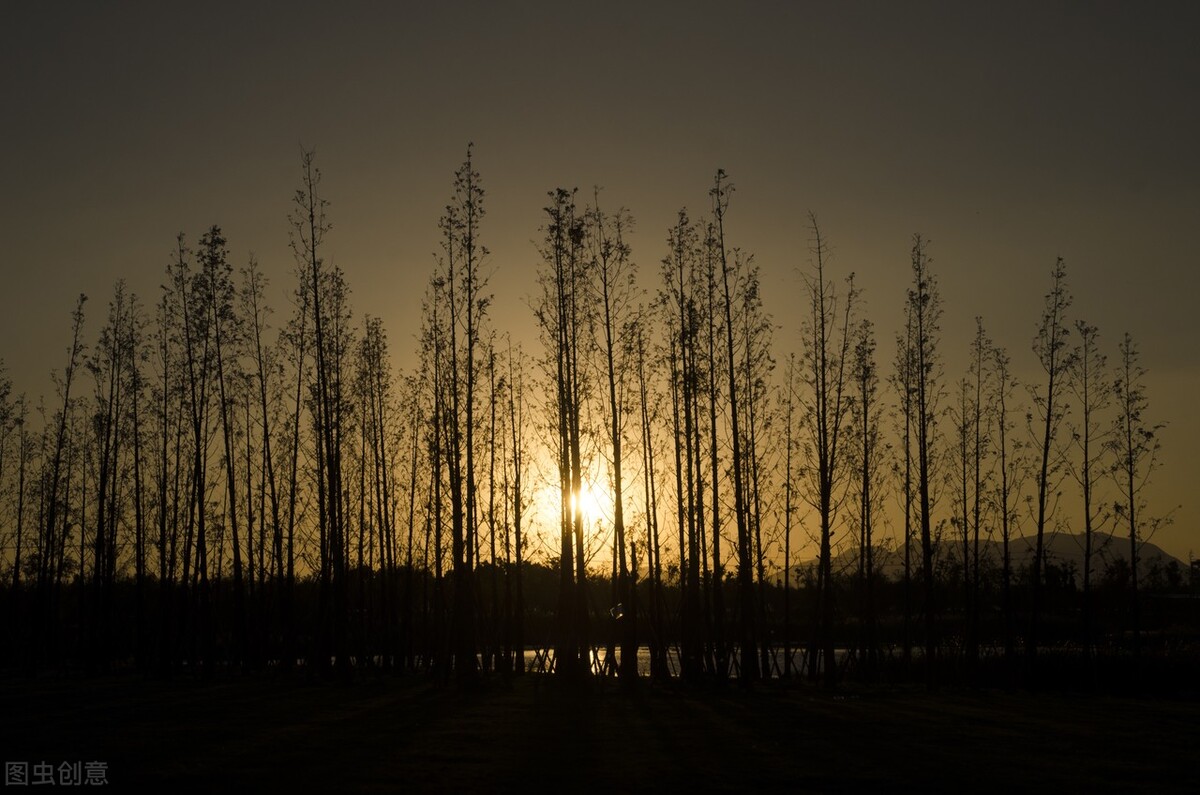 推荐三本经典军事小说,经典的现代军事类小说