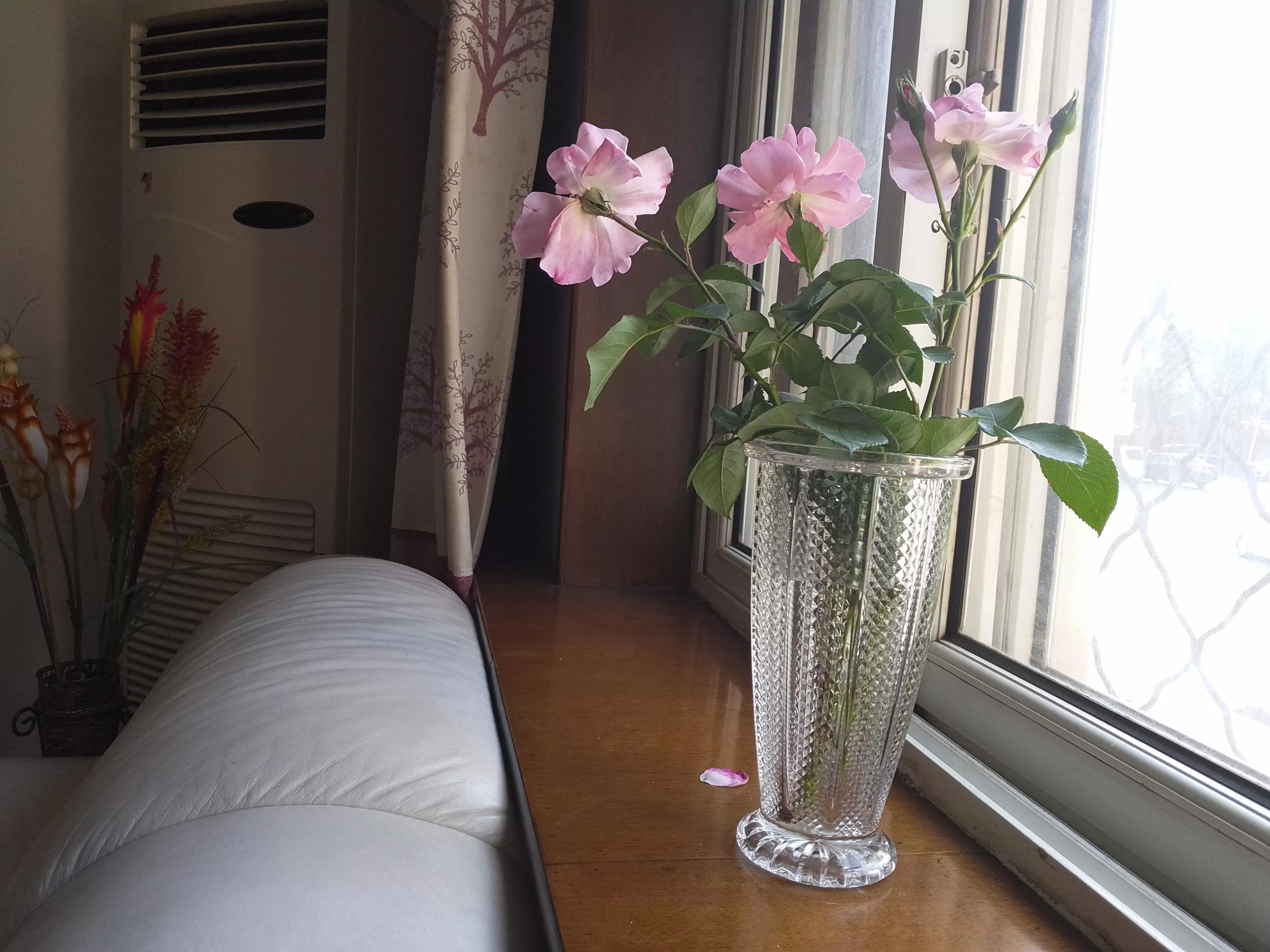 瞧！满屋都是插花，走到哪里都是春天美景