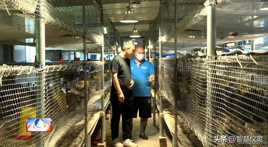 返乡创业成功人士的故事,返乡创业青年和他的创业故事