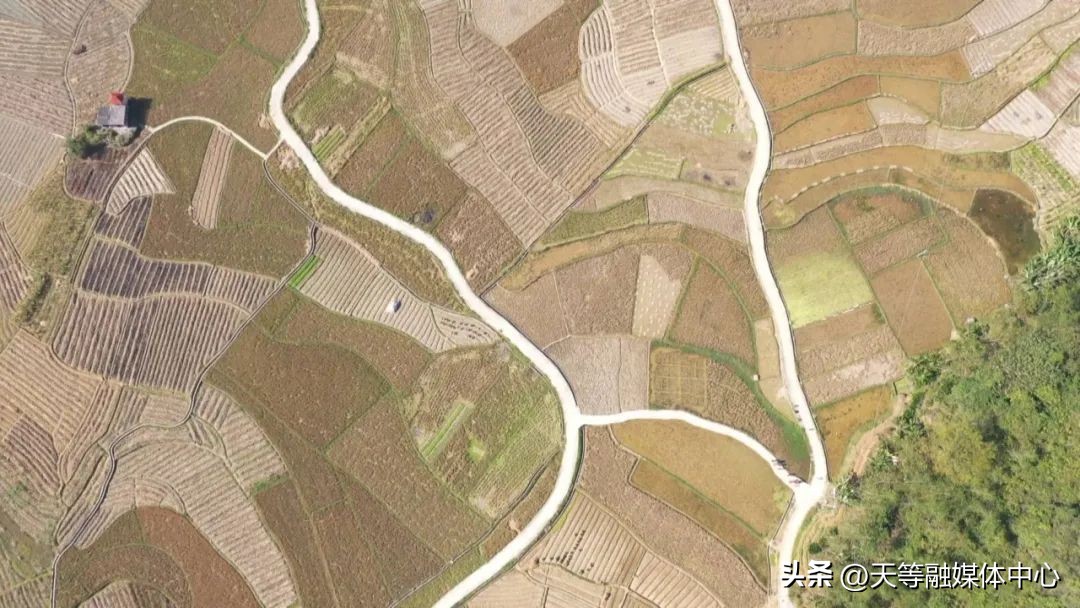 【新时代新征程新伟业】天等县一季度经济运行实现稳中有进