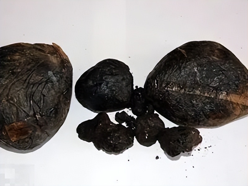 全国禁毒知识竞赛,高一禁毒知识答案