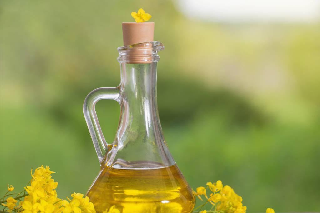 为啥买的菜籽油没香味,为什么买的菜籽油没有农村榨的香