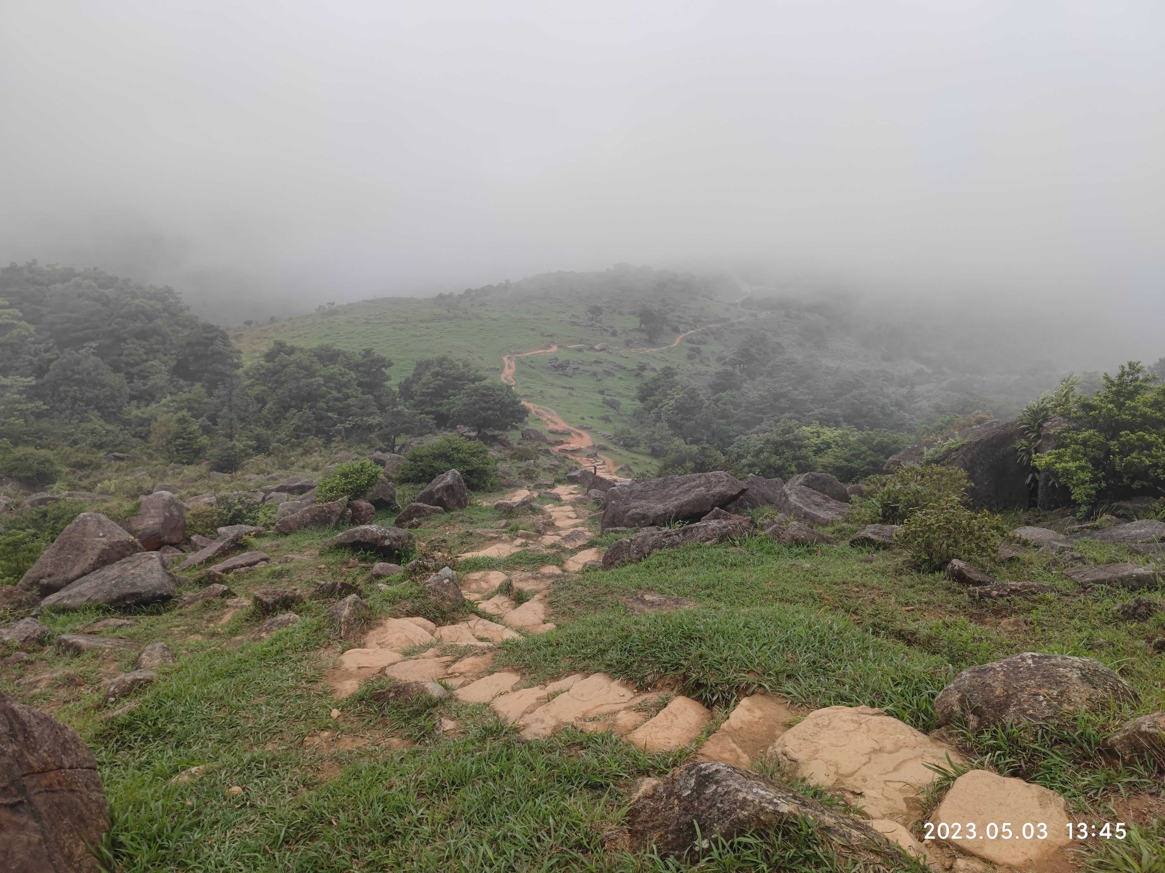 徒步香港大帽山,香港麦径徒步攻略