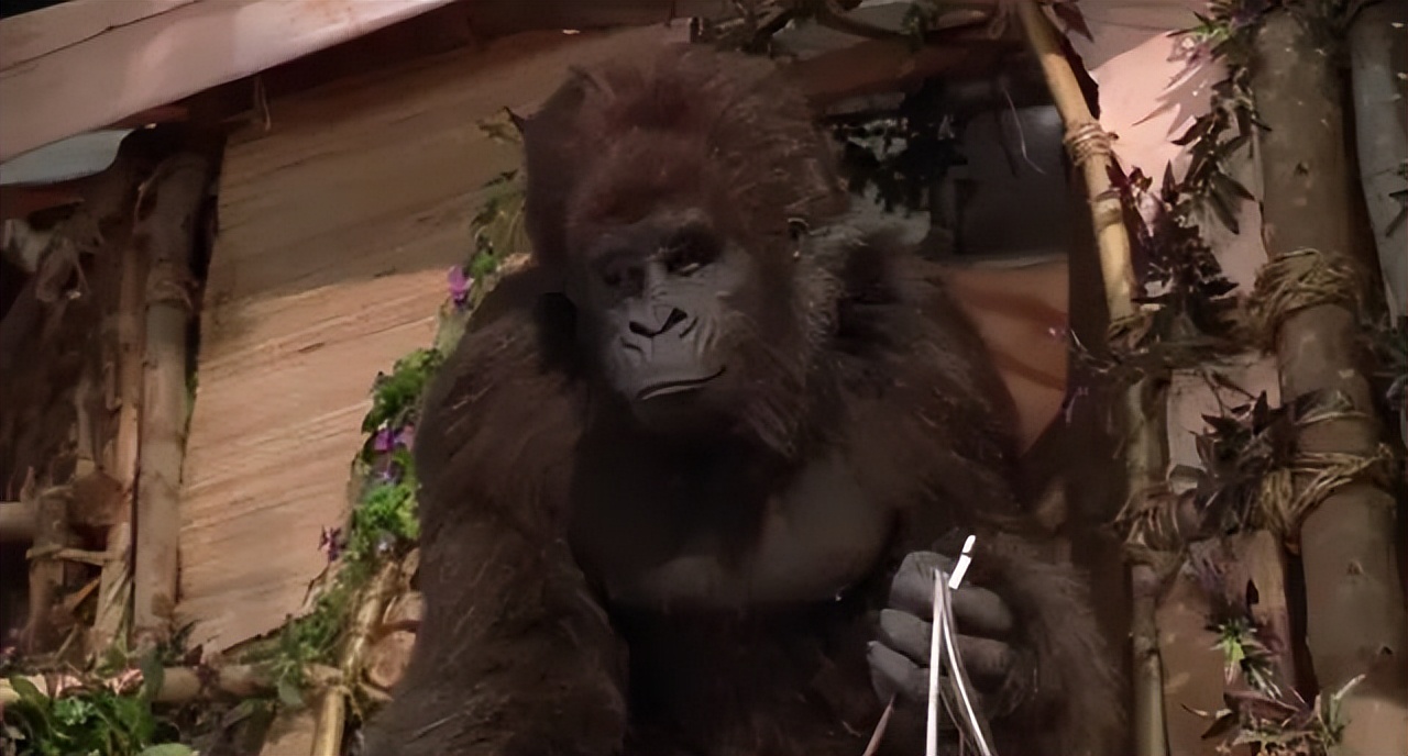 从肌肉男到骨瘦如柴,从肌肉男增肥到大肚男