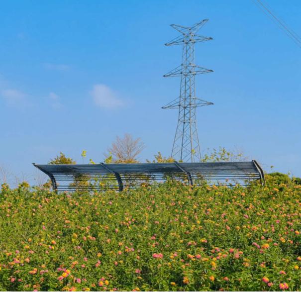 深圳绿色公园,深圳宝安值得去的公园