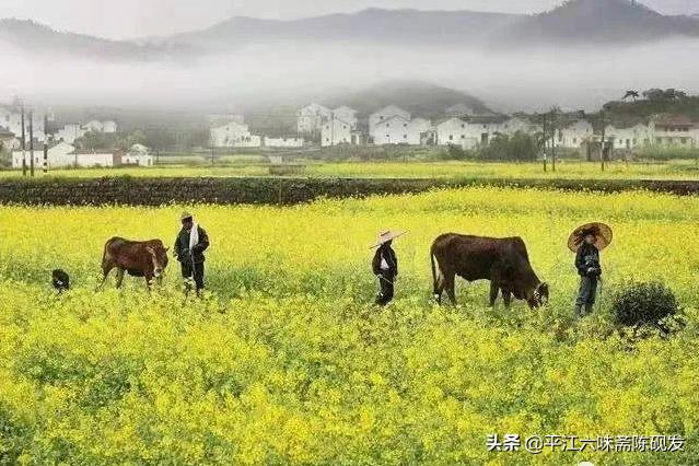 平江县平均生活水平,平江县人民的真实生活