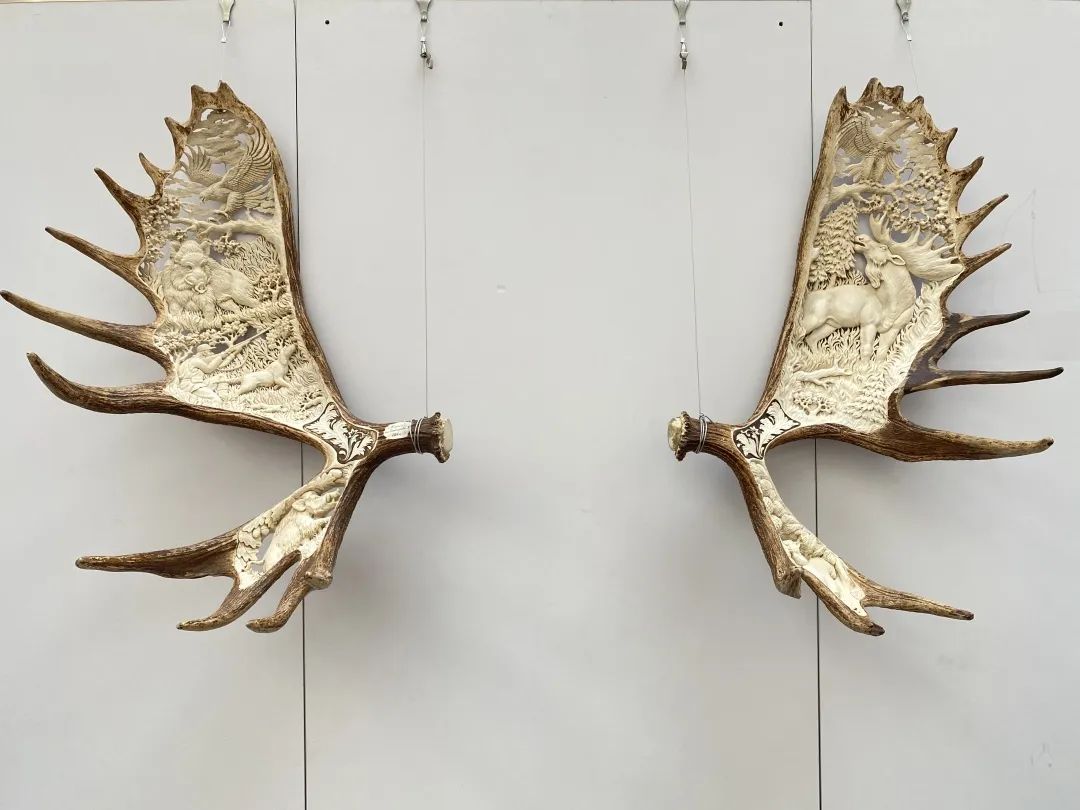 划艇露营,划艇露营视频大全