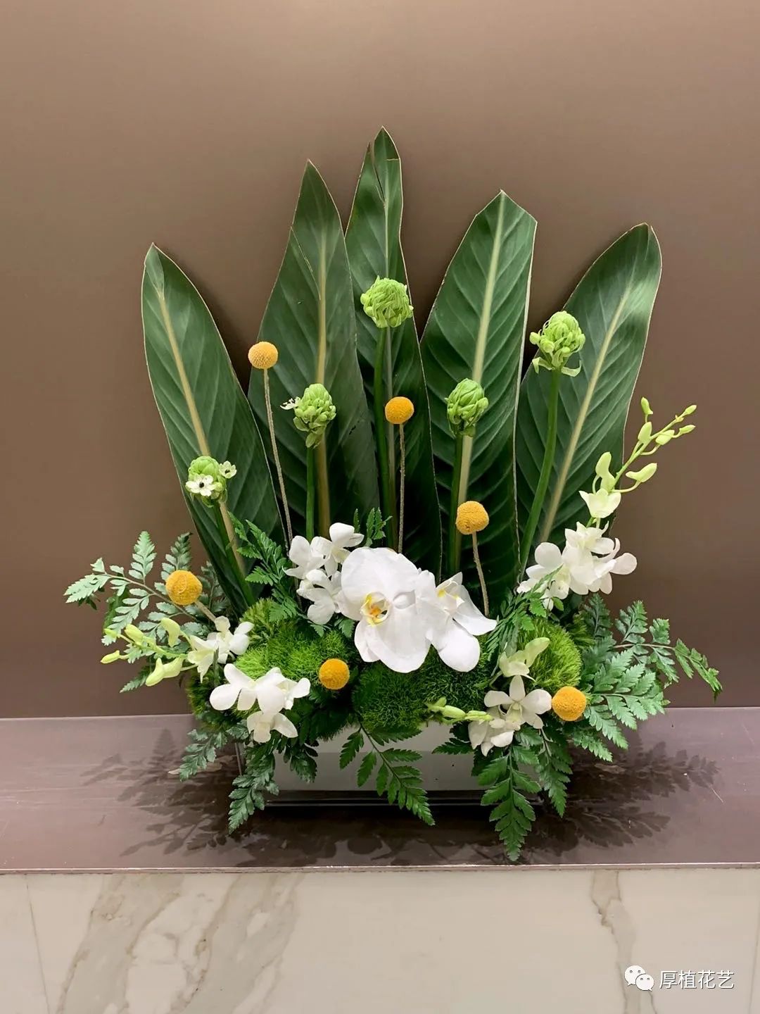 商务前台鲜花,前台花选择