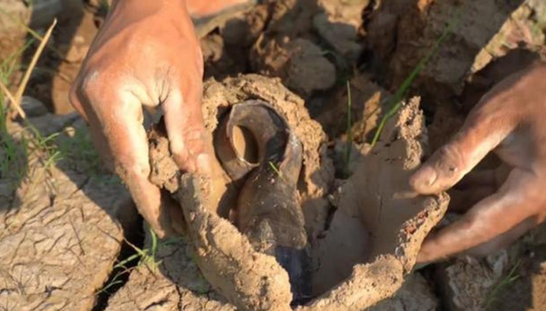 灭绝史前鱼类被发现,史前第一次生物灭绝