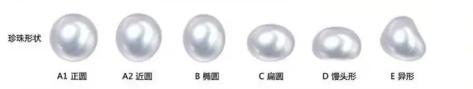最贵的珍珠是哪种珍珠,世界最大的珍珠品种