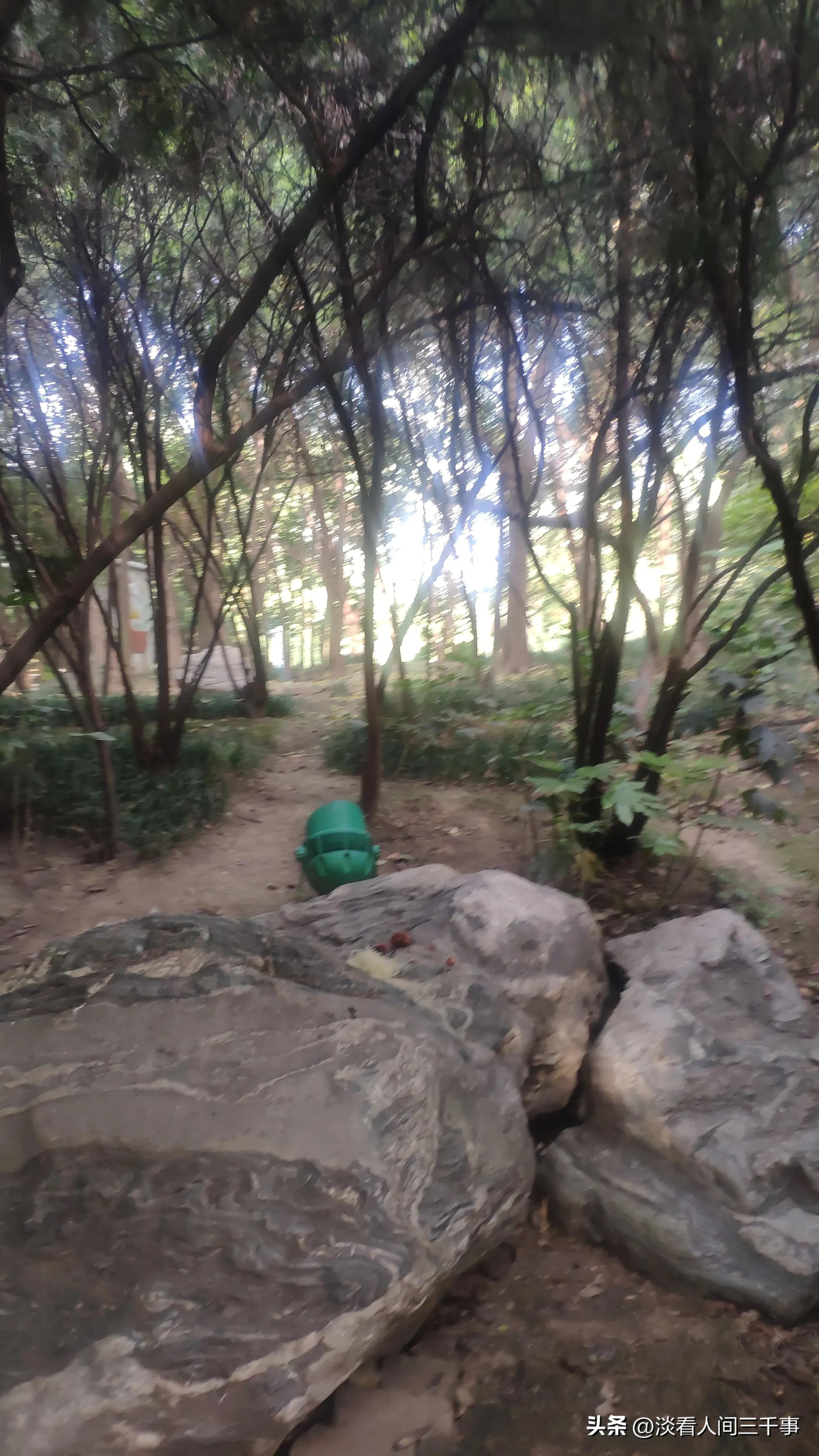 西安雁塔区新纪元公园,新纪元公园西安