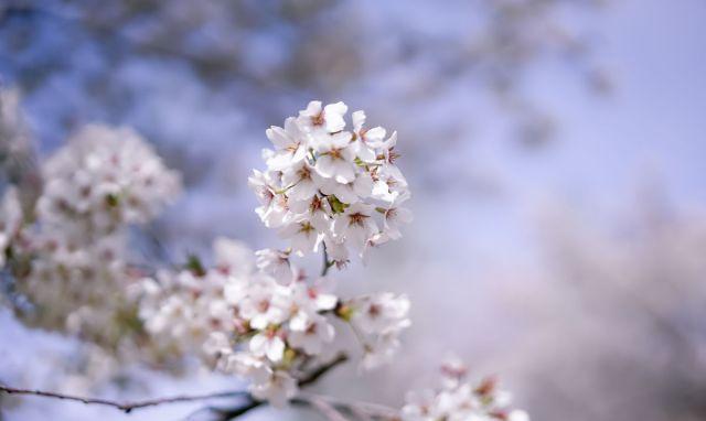 没有朋友没有社交只有自己一个人,没有朋友没有社交内心孤独怎么办