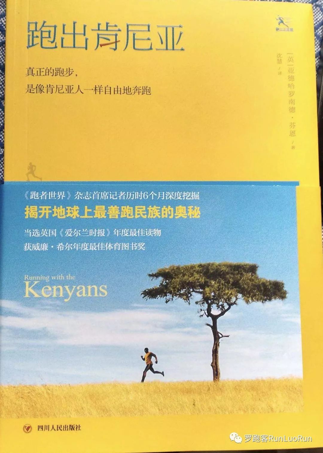 听雅尼夜莺有感,听雅尼经典音乐感想