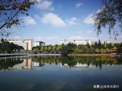 法学一流学科,法学国家级一流学科名单