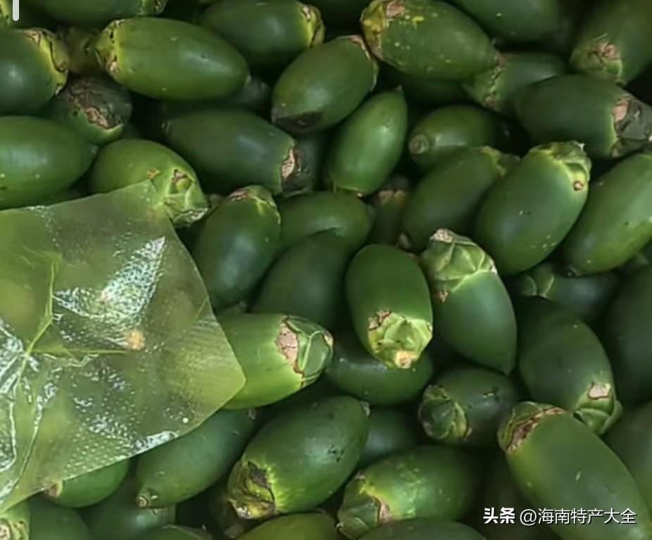 海南槟榔6月价格 (今天海南槟榔价格多少一斤)