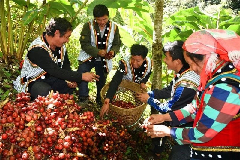 浜戝崡鎬掓睙鍗佸ぇ蹇呭悆缇庨,浜戦鍝佸皾鑸屽皷涓婄殑绾㈡渤