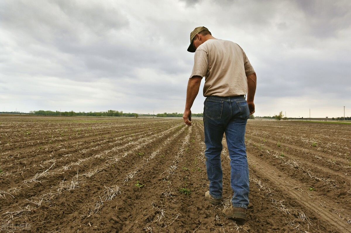 如何做一名优秀的合格的农民,怎样成为一名优秀的新型职业农民