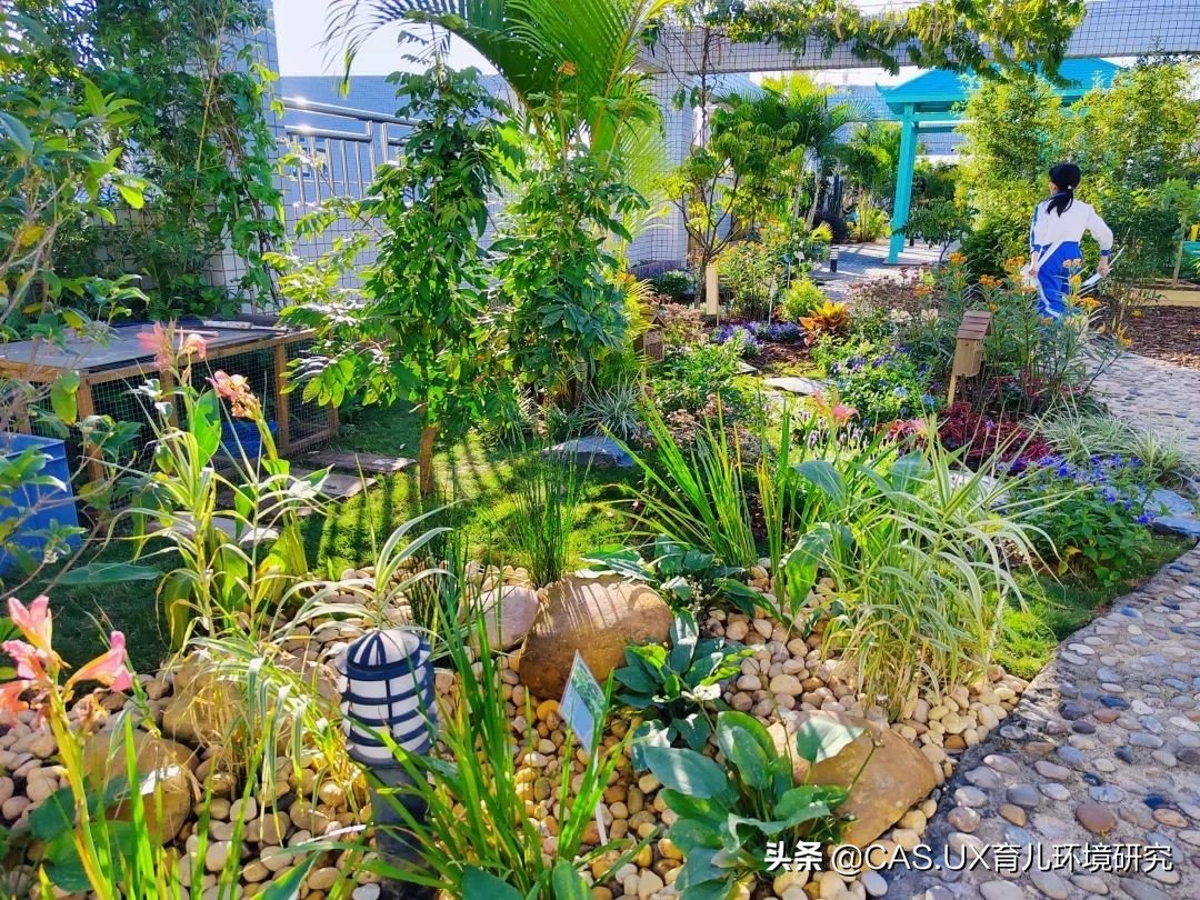 CAS儿童空间|生命花园:在校园屋顶打造感知自然的实验场