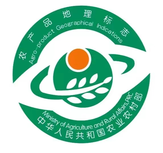 陕西周至猕猴桃哪种最好吃,陕西的猕猴桃是什么季节吃的