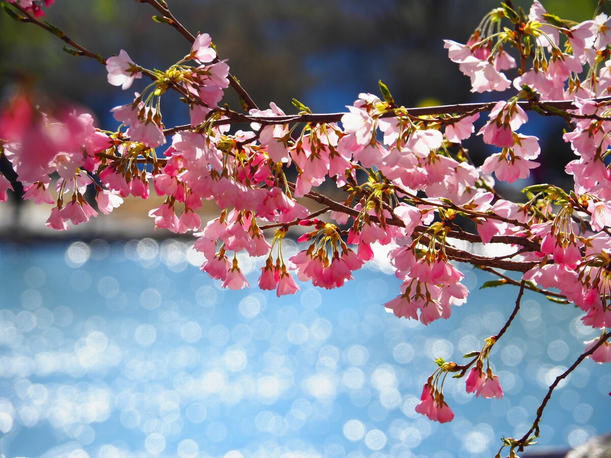 邢建义音乐视频,邢建设