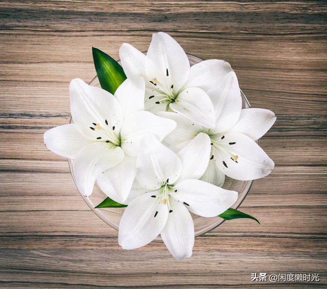 最任性的保姆,遇见不讲理的保姆如何面对