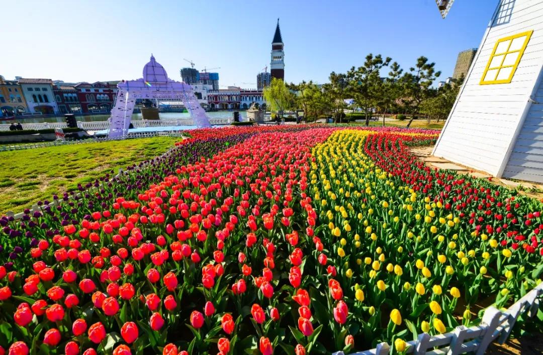 济南的春天来了吗,济南春天来了