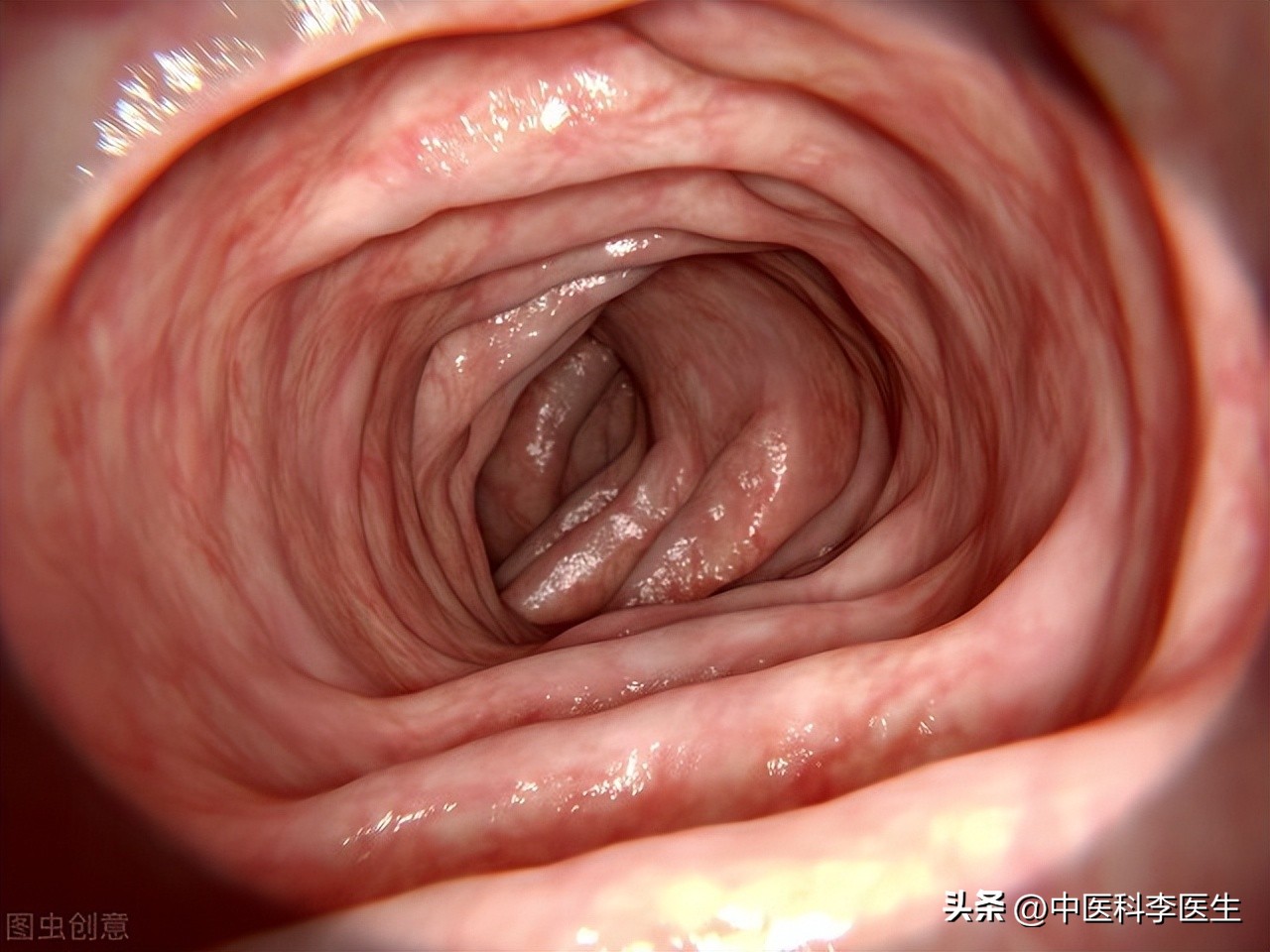无痛肠镜是挂肛肠科还是消化内科,肠镜无痛和普通哪个预约快