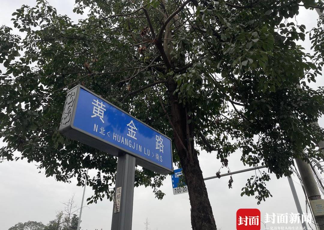 绿化树果子落地上很脏,洗不掉的植物污渍怎么办