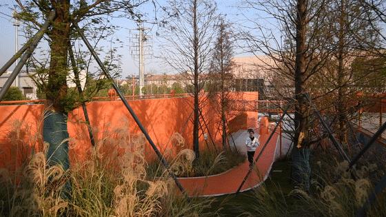 把家弄成游乐园是什么样的,把家打造游乐场是什么体验