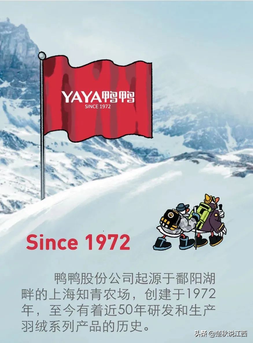 五十年品牌历史,50年中国服装品牌