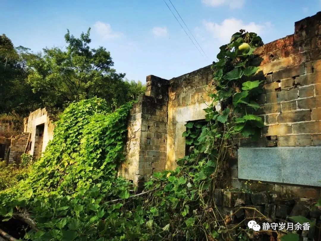 樱子视频大全,樱子挖野菜