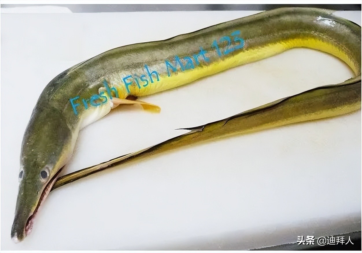 杩嫓瓒呭競娴烽矞,杩嫓瓒呭競娴烽奔