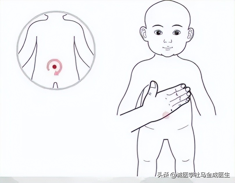 脾虚怎么补阳气,脾虚寒脾阳不足如何调理