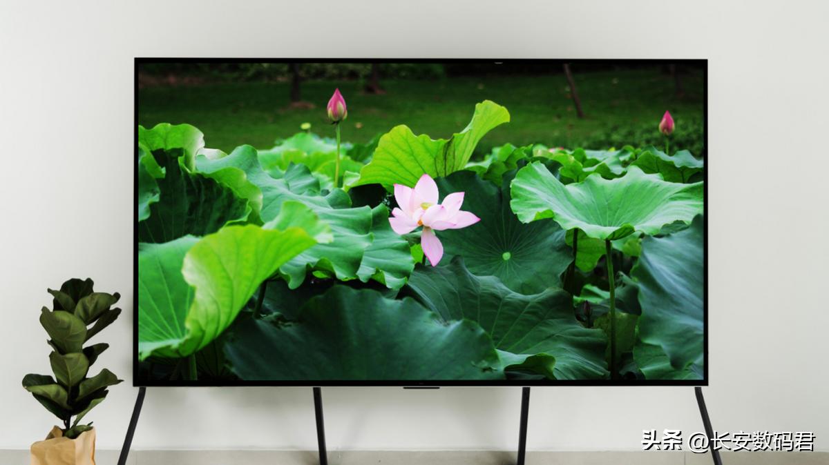 tcl98q10gminiled电视正式发布,tclminiled和三星miniled哪个好