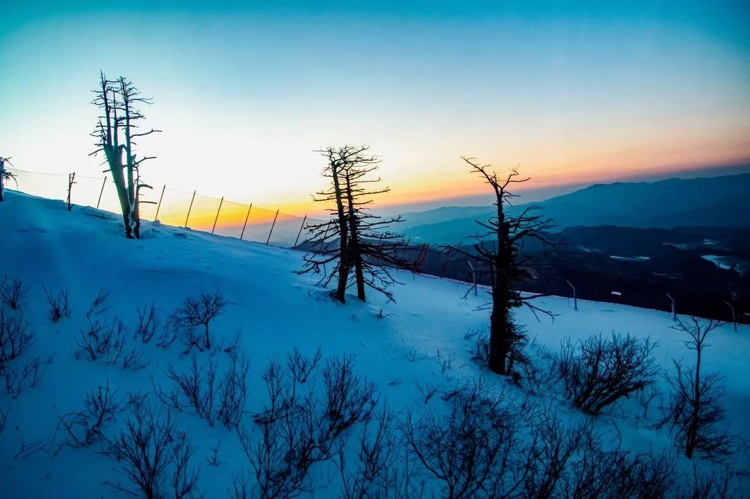 抢不到冰墩墩是什么梗,冬奥会冰墩墩2022