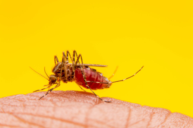 泰国最新感染病例,泰国最近爆发了啥流行病么