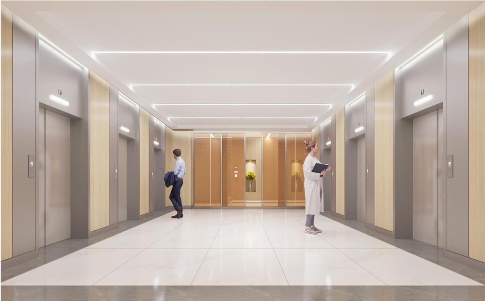 鍙屼箰娲佸尰鐤楁姉鑿屾澘,鍙屼箰娲佹姉鑿屾澘