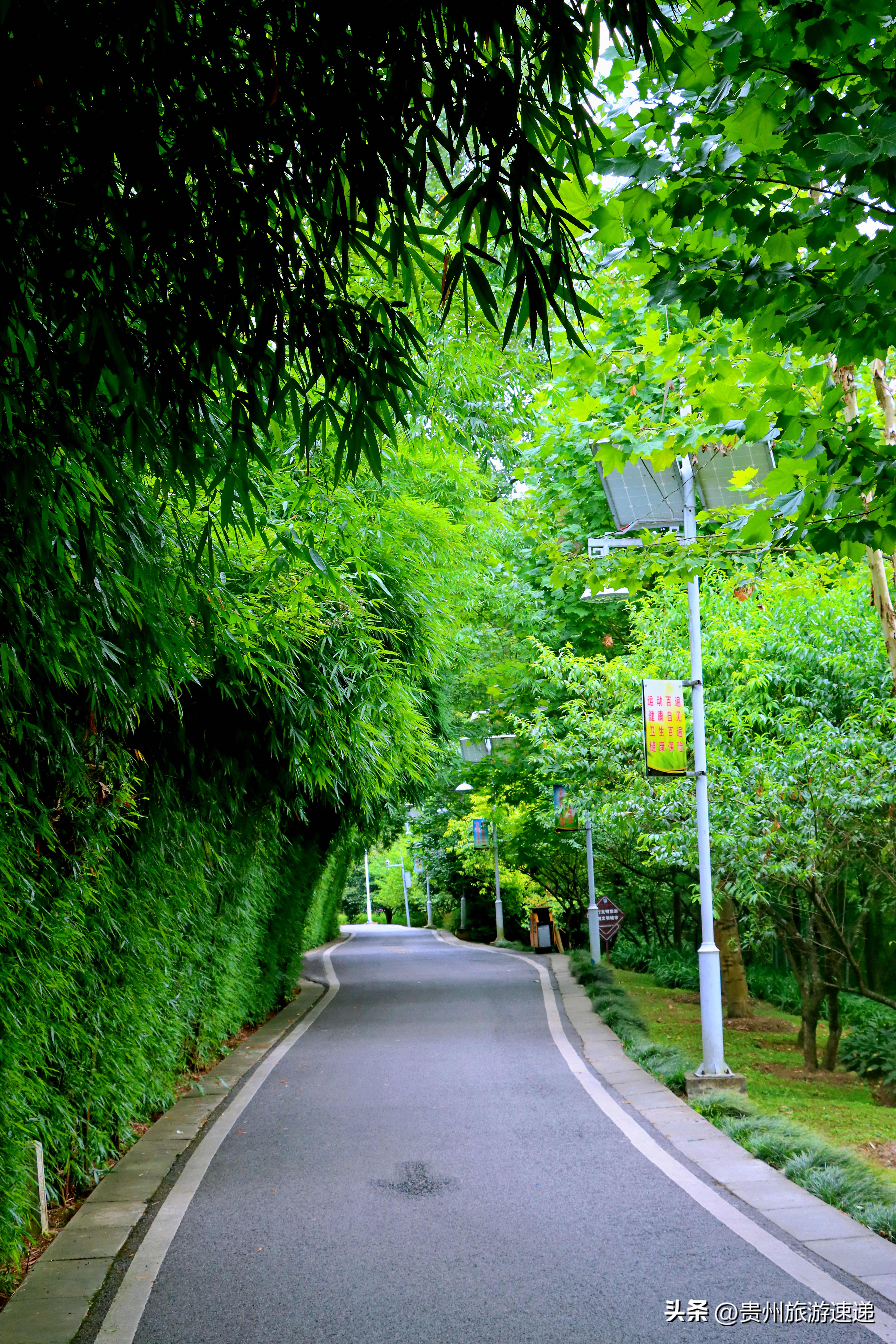 贵阳十里河滩湿地公园,贵阳八月花海