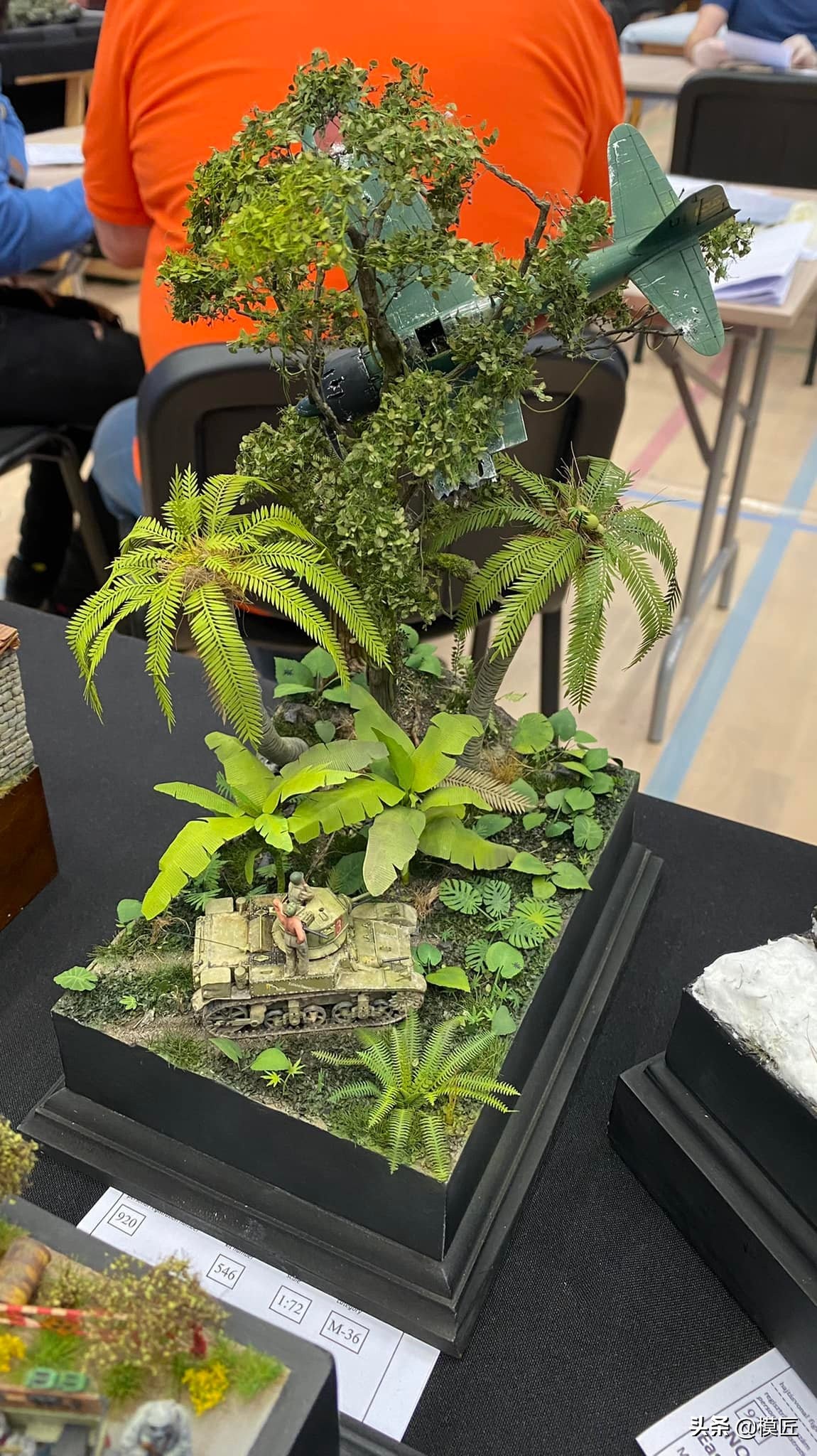 匈牙利莫森金奖,莫森模型展