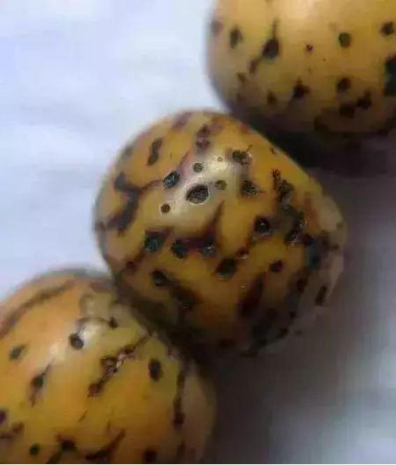 星月假开片,怎么判断星月是真是假