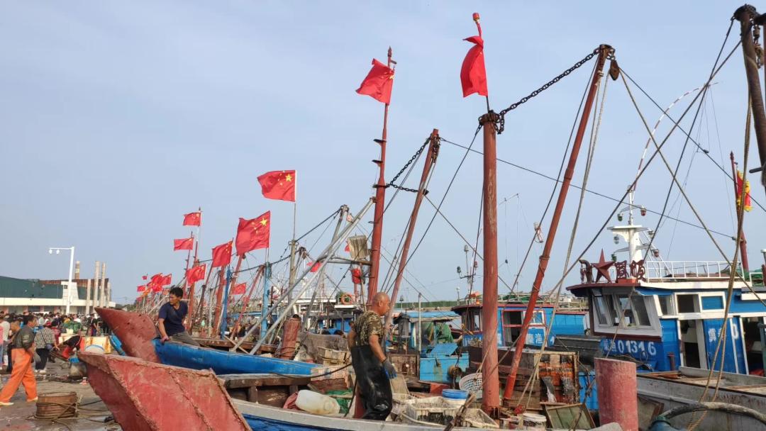 秦皇岛开海海鲜图片,开海后的生猛海鲜已抵达秦皇岛