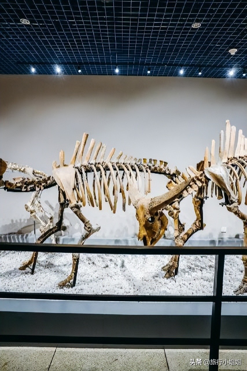 夏日海边浪漫迷人,滨城风光秀丽浪漫气息爆表