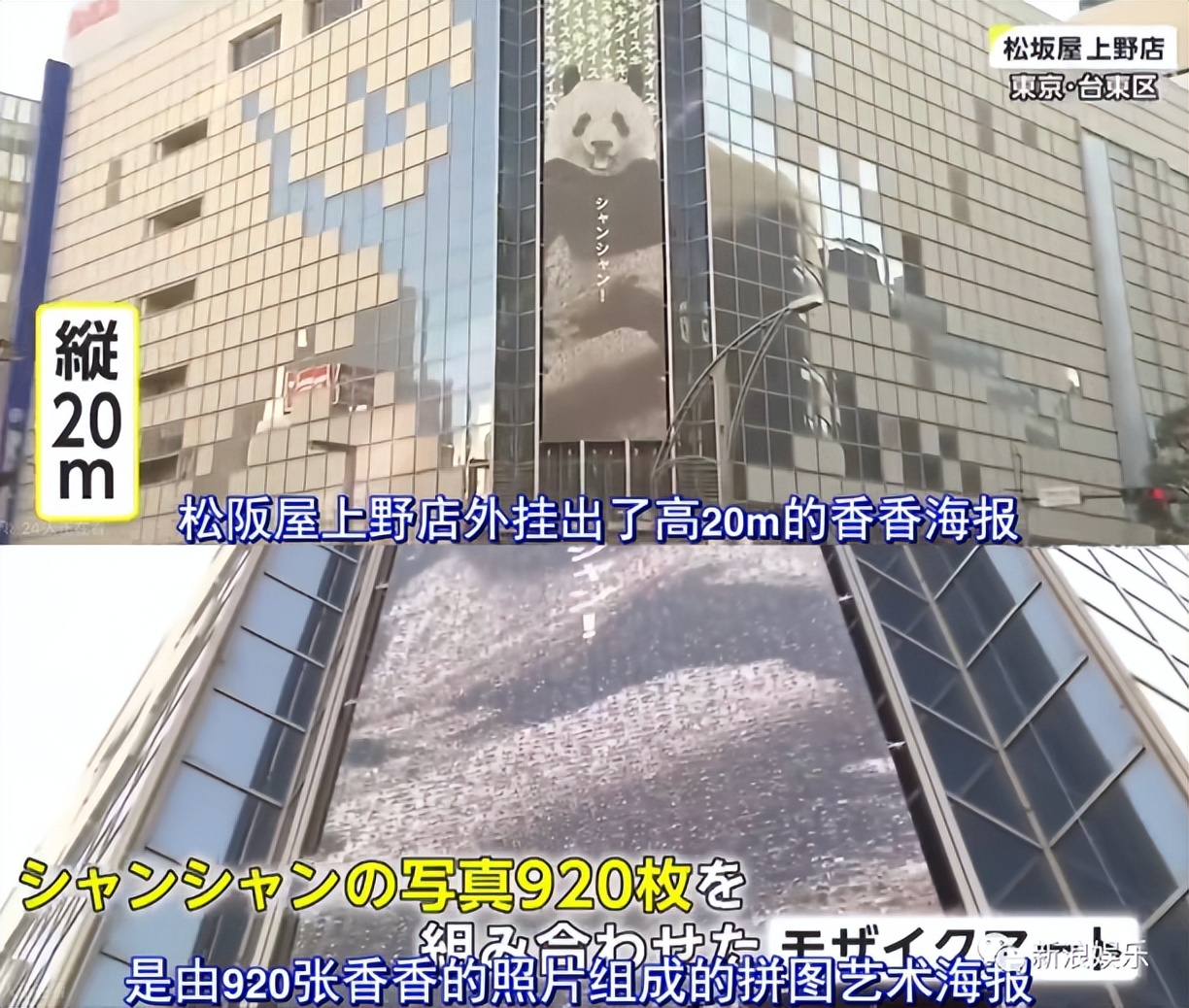 现在有多少人在关注丫丫,持续关注丫丫