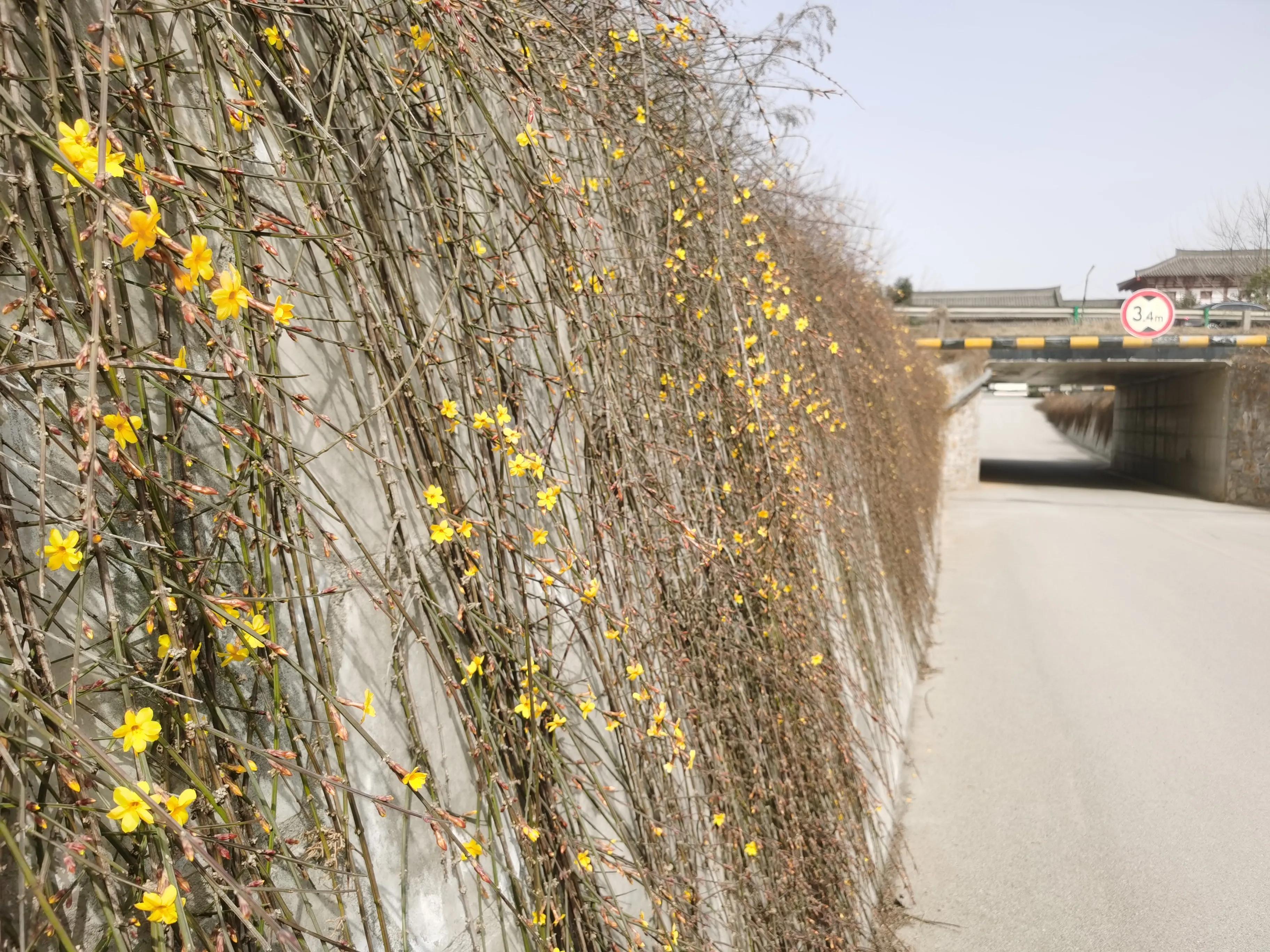西安到陕西周边一日游,西安到周边7天游自驾