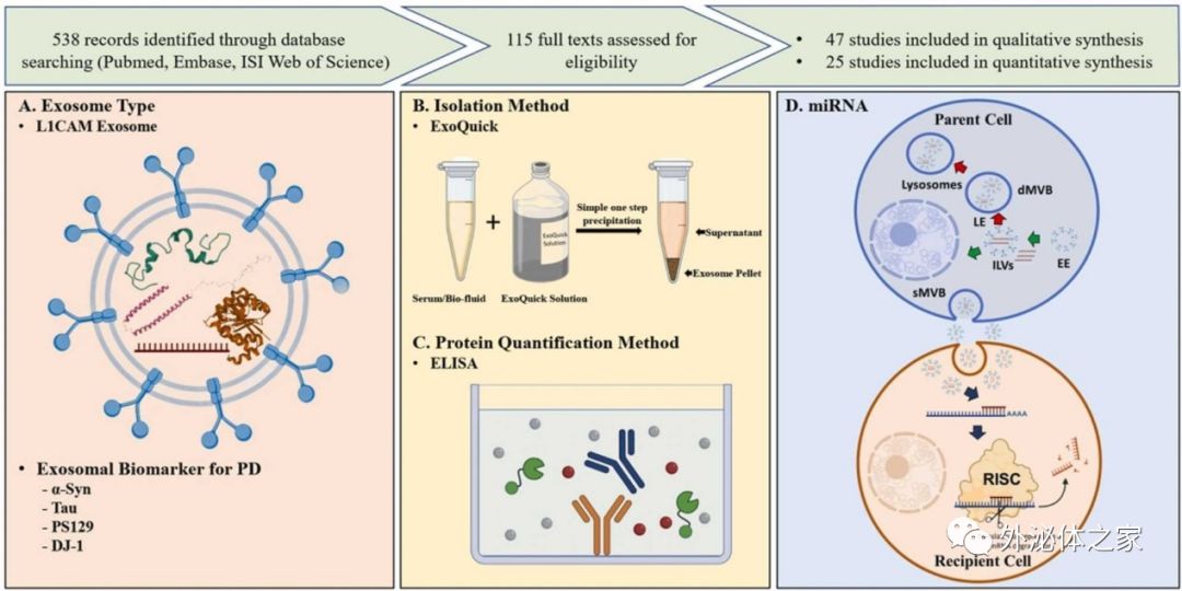 世界帕金森病日第28个主题,世界帕金森病日完整版