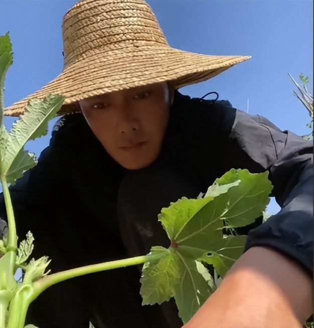 徐海乔入行十几年的角色,徐海乔杀青照片