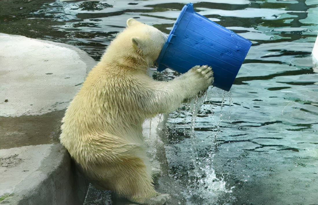 一天喝8杯水真的有用吗,1天喝8杯水能瘦吗