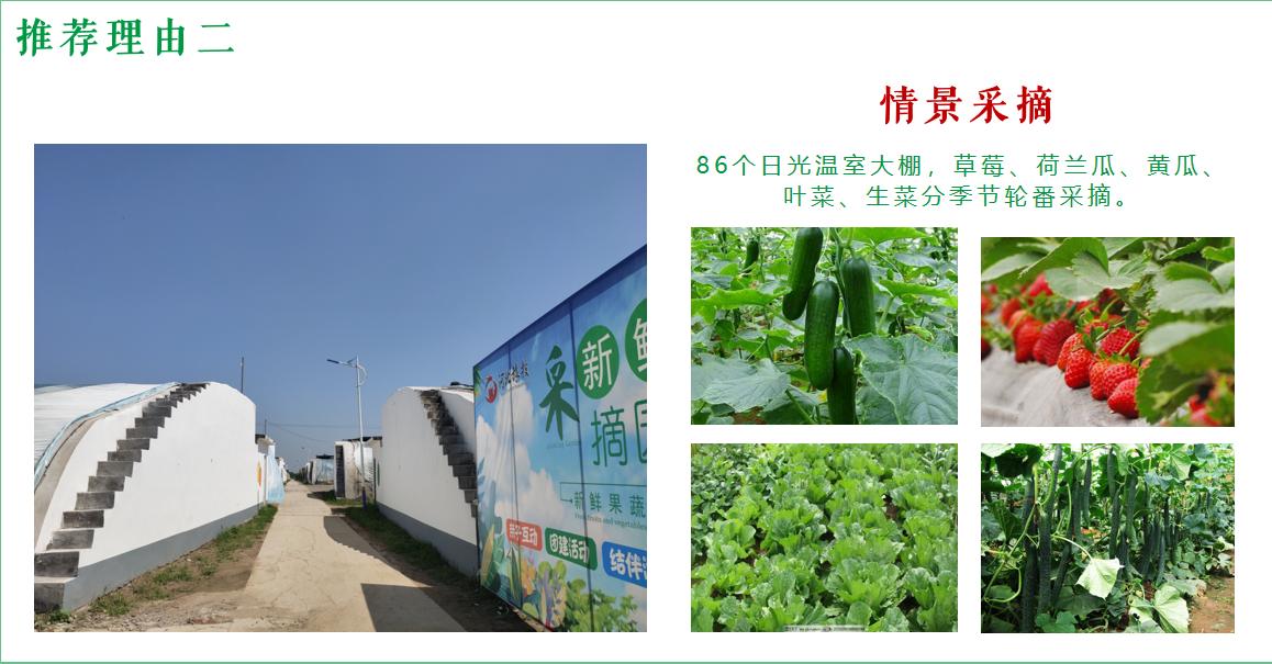 石家庄现代农业观光园,石家庄农业观光园怎么样