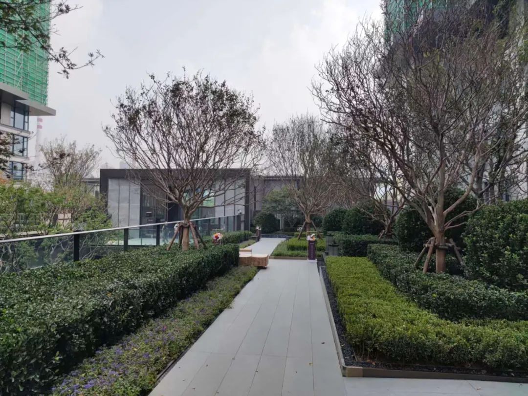 雪山万科城a11地块的优缺点,雪山万科城a10地块97平